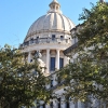 Capitol Hearing: January 2010